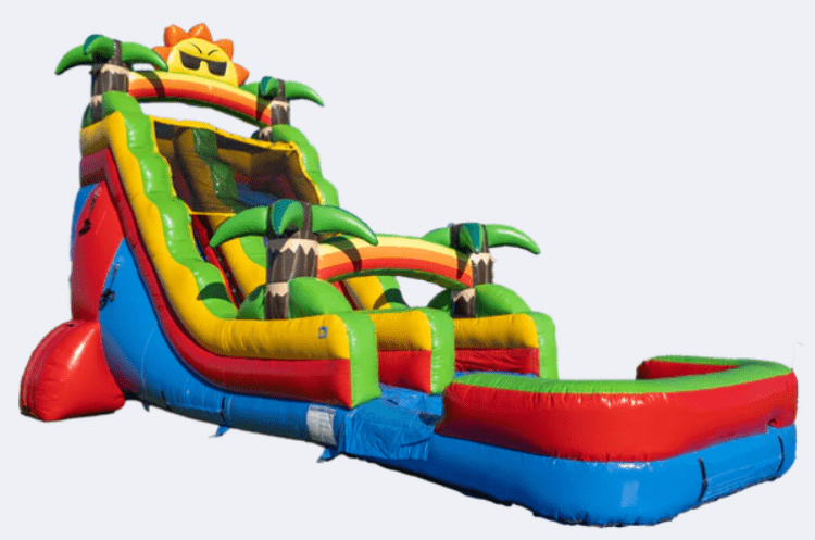 Slides (Wet & Dry)